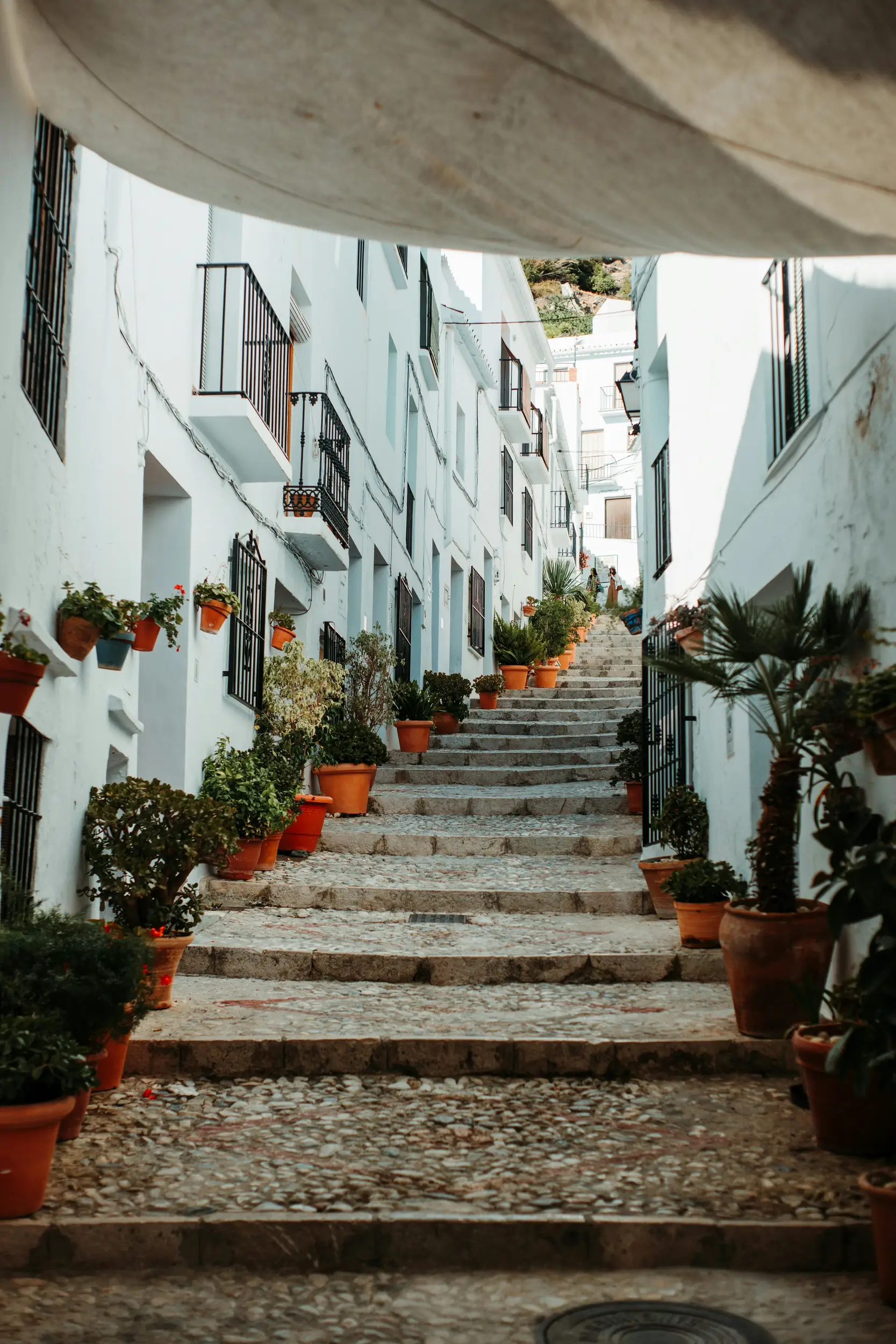 A Frigiliana en Andalousie, photo d'une ruelle très fleurie