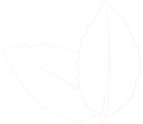 Pictogramme de feuilles vertes