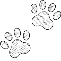 Pictogramme de pattes d'animal